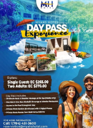 Day Pass Experience - Single Guest
