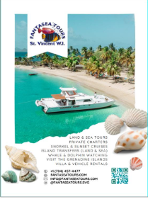 Land & Sea Tours