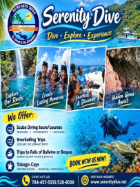Scuba Diving tours/courses (Beginner, Intermediate, Advanced)